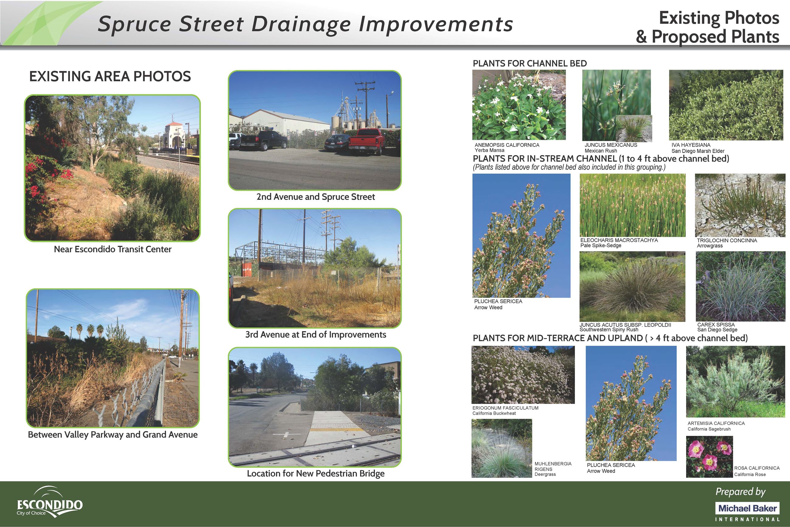 Existing Area Photos